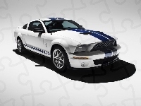 2008 Shelby GT500 KR