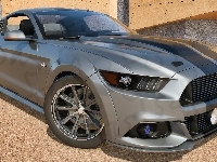 2015, Ford Mustang GT500 Eleanor, Bok