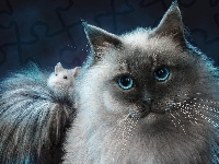 Myszka, Kot, Grafika 2D