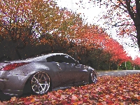 Nissan, Jesień, Droga, 350Z