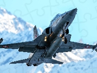 F-5 Tiger, Northrop, Samolot