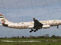 A6-EYP Airbus A330-243, Pasażerski, Samolot