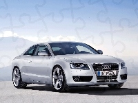 Audi A5, Halogeny