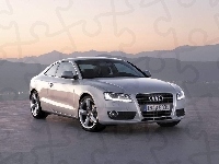 Audi A5, Niemcy