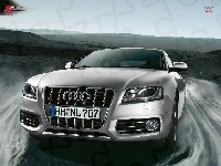 Audi A5, S5