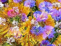 Kolorowe, Abstrakcja, Kwiaty