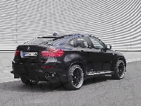 AC-Schnitzer, Alufelgi, BMW, X6, Czarne