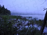 Jezioro, Stan Maine, Mgła, Stany Zjednoczone, Park Narodowy Acadia, Roślinność