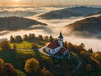 Mgła, Góry, Kościół, AI, Drzewa, Jesień, Drzewa