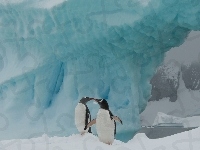 Aiceberg, Dwa, Pingwiny, Antarktyka