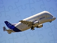 Airbus A300 Beluga, Transporter