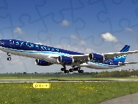 Linia lotnicza, Samolot, Airbus A340, Azerbaijan Airlines