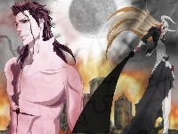 Walka, Ichigo, Aizen