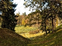 Łąka, Drzewa