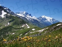 Góry, Łąka, Alpy