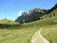 Góry, Łąka, Ścieżka