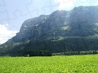 Góry, Łąka, Drzewa