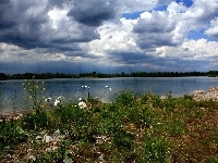 Jezioro, Łąka, Chmury