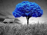Niebieskie, Łąka, Drzewo
