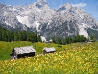 Szopy, Łąka, Góry