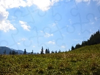 Zakopane, Łąka, Niebo