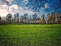 Łąka