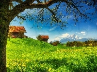 Farmy, Łąki, Góry
