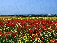 Maki, Łąki, Panorama