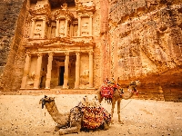Skały, Jordania, Ruiny, Wielbłądy, Skarbiec Faraona Al-Chazna, Petra, Różowe Miasto