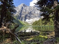 Góry, Alberta, Drzewa, Jezioro Rawson, Kanada, Lasy