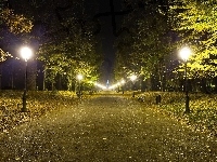Alejka, Park, Drzewa, Oświetlenie