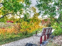 Ławka, Park, Alejka, Drzewa