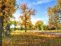 Alejka, Jesień, Park, Liście