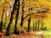 Ławki, Jesień, Park, Alejki, Liście