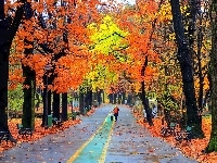 Ławki, Jesień, Park, Alejki, Ludzie