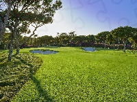 Almancil, Drzewa, Pole golfowe, Hotel, Portugalia, Quinta do Lago
