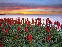 Aloes, Morze, Molo, Zachód słońca