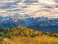 Góry Alpy, Drzewa, Austria, Karyntia, Alpy Julijskie