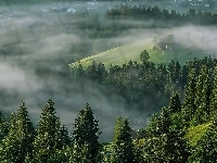 Lasy, Alpy, Austria, Domy, Góry, Mgła, Tyrol