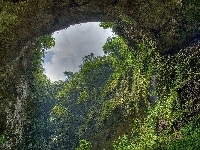 Amazonia, Las, Deszczowy, Jaskinia