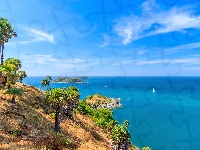 Tajlandia, Cape Phrom Thep, Przylądek, Drzewa, Morze Andamańskie