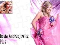 Gosia Andrzejewicz, Płyta