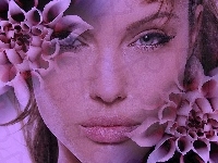Kwiaty, Angelina Jolie