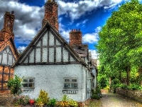 Anglia, Domy, Ogród, HDR