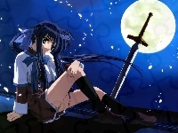 Anine, Sword Art Online