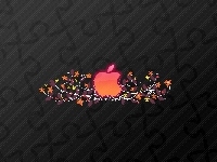 Apple, Kwiatki