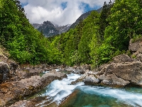 Skały, Hiszpania, Wąwóz, Valle de Bujaruelo, Rzeka, Aragonia, Rezerwat przyrody, Rio Ara, Drzewa, Posets Maladeta