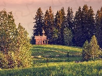 Kenozerskoje, Kapliczka, Wieś, Rosja, Łąka, Drzewa, Obwód archangielski