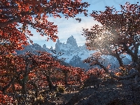 Szczyt Fitz Roy, Park Narodowy Los Glaciares, Argentyna, Góry, Jesień, Jesień, Promienie słońca, Patagonia, Drzewa