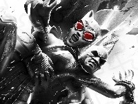 Arkham City, Batman, Catwoman